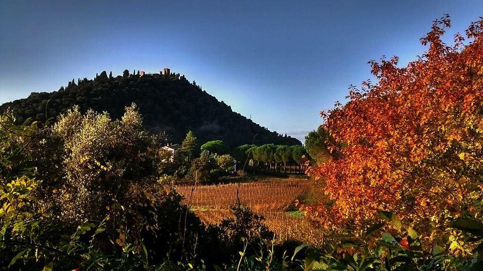 Podere L'Olmaia Марсилиана Экстерьер фото